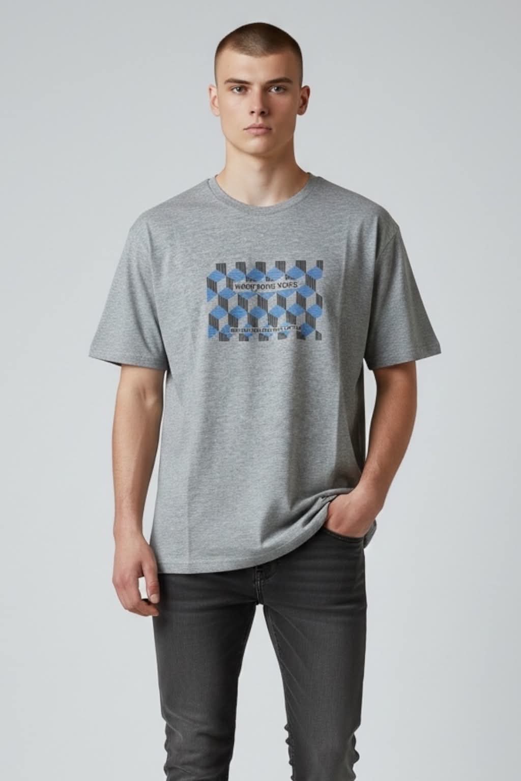 Ανδρικό T-shirt με στάμπα (Γκρι)